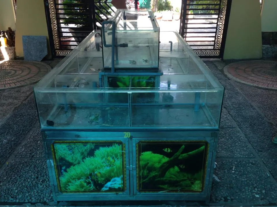 Thanh lý bể cá nhà hàng - Thanh lý bể cá nhà hàng