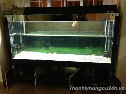 Thanh lý bể cá cảnh - Thanh lý bể cá cảnh