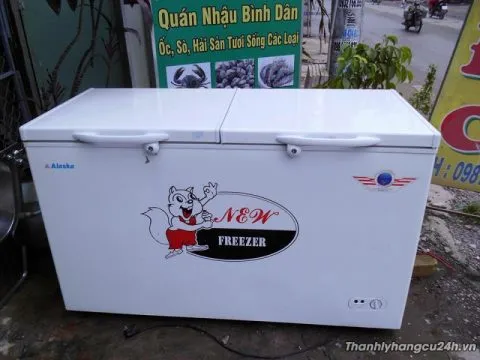 Thanh lý tủ đông Alaska lớn 2 cánh