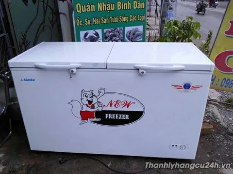 tủ đông Alaska 2 cánh