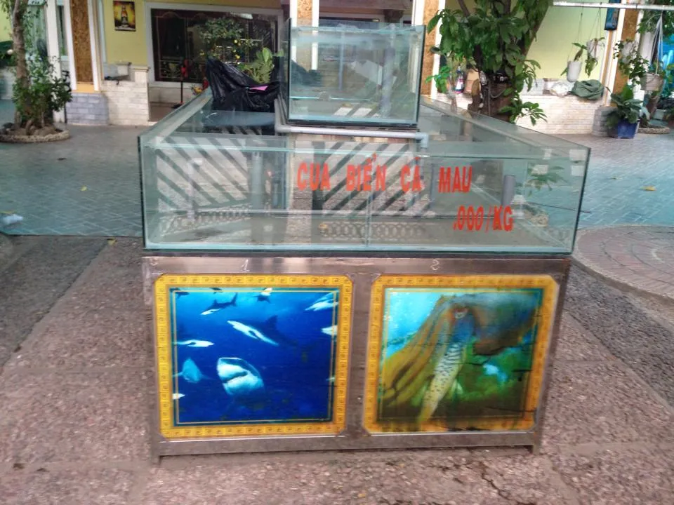 Thanh lý bể cá nhà hàng - Thanh lý bể cá nhà hàng