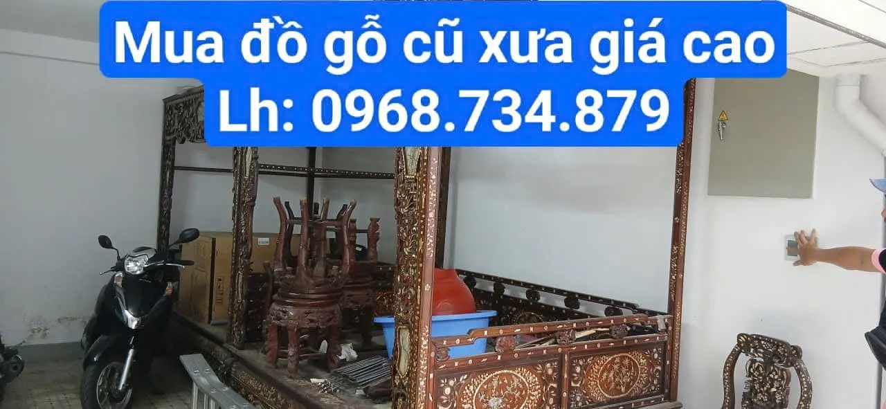 - Ảnh 2