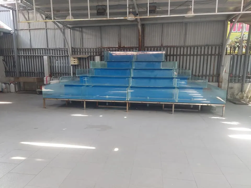 thanh lý hồ hải sản nhà hàng
